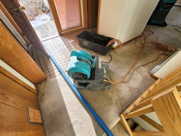 Best Ceiling water damage repair  in Nescopeck, PA
