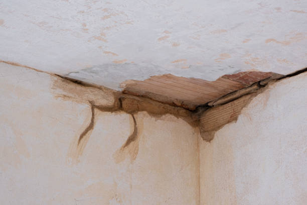 Best Mold removal after water damage  in Nescopeck, PA