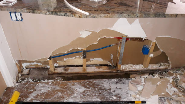 Best Residential water damage restoration  in Nescopeck, PA