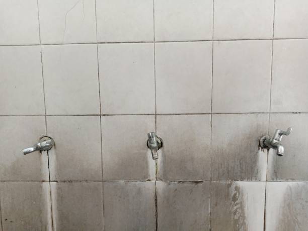 Best Fire Damage Restoration  in Nescopeck, PA