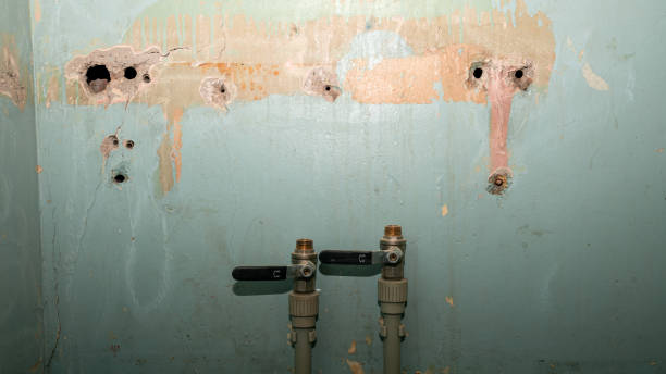 Best Water damage cleanup near me  in Nescopeck, PA