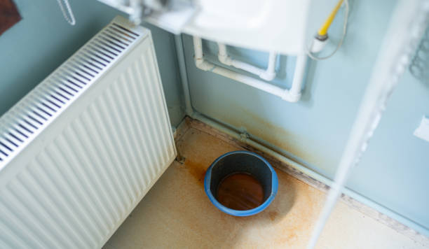 Best Flood restoration services  in Nescopeck, PA