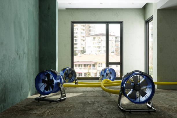 Best Emergency water damage restoration  in Nescopeck, PA
